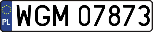 WGM07873
