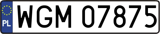 WGM07875