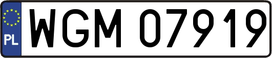 WGM07919