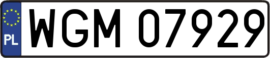 WGM07929