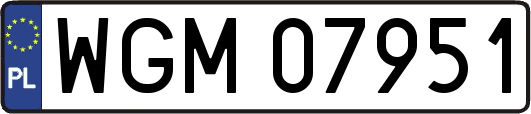 WGM07951