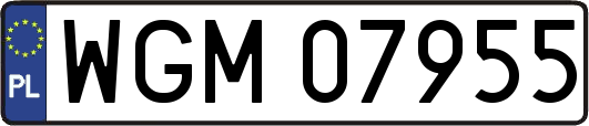 WGM07955
