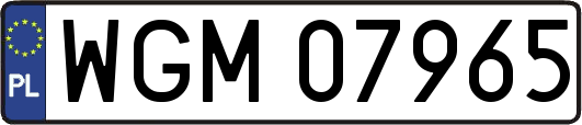 WGM07965