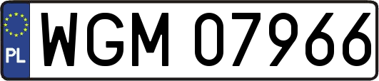WGM07966