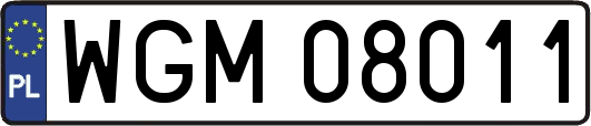 WGM08011