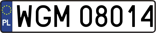 WGM08014