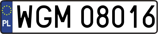 WGM08016