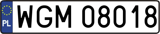 WGM08018