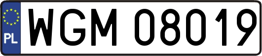 WGM08019