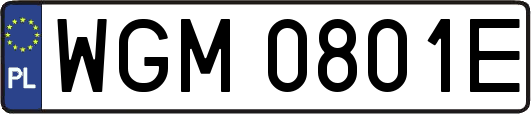 WGM0801E