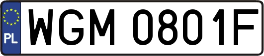 WGM0801F