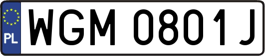 WGM0801J