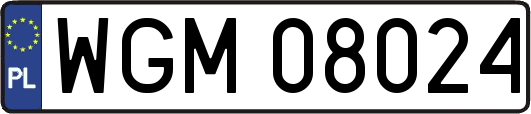 WGM08024