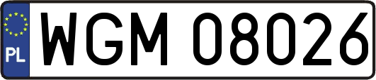 WGM08026