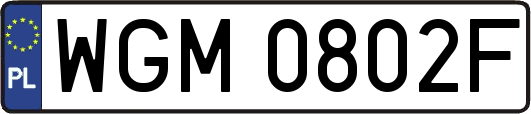 WGM0802F