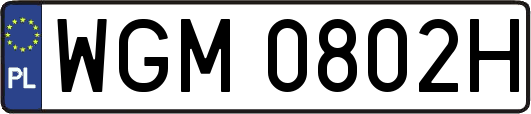 WGM0802H