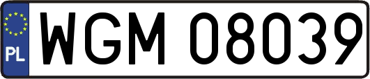 WGM08039