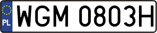 WGM0803H