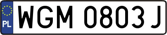 WGM0803J