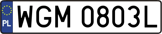WGM0803L