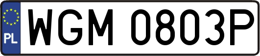 WGM0803P