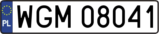 WGM08041