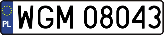 WGM08043