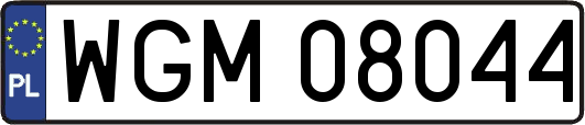 WGM08044