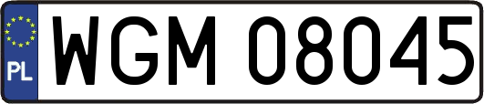 WGM08045