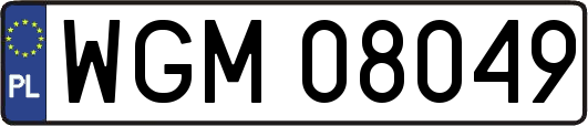 WGM08049
