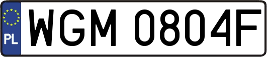 WGM0804F