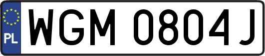 WGM0804J