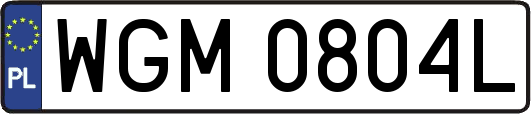 WGM0804L