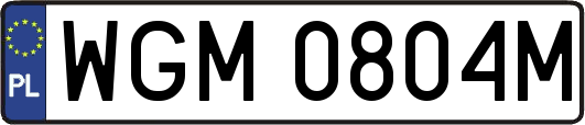 WGM0804M