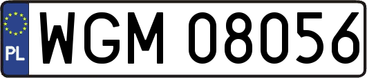 WGM08056