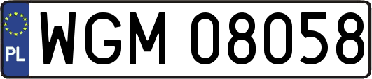 WGM08058