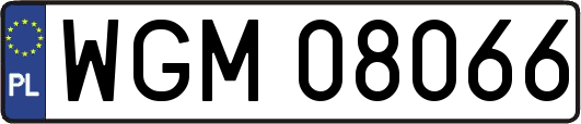 WGM08066