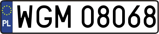 WGM08068