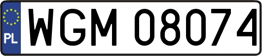 WGM08074