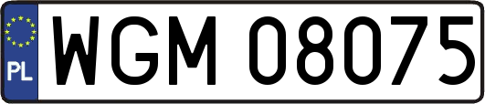 WGM08075