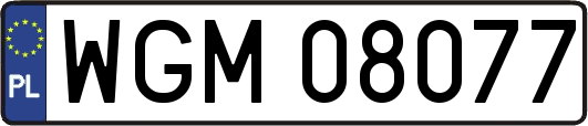 WGM08077