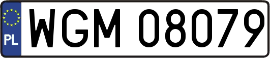 WGM08079