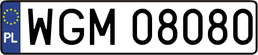WGM08080