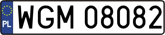 WGM08082