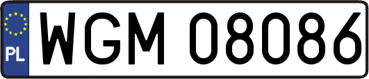 WGM08086
