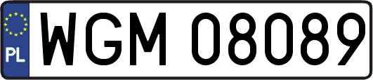 WGM08089