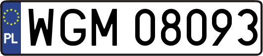 WGM08093