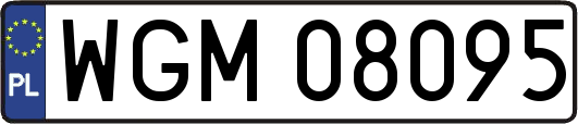 WGM08095