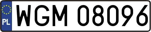 WGM08096