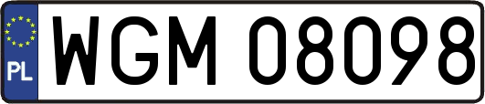 WGM08098